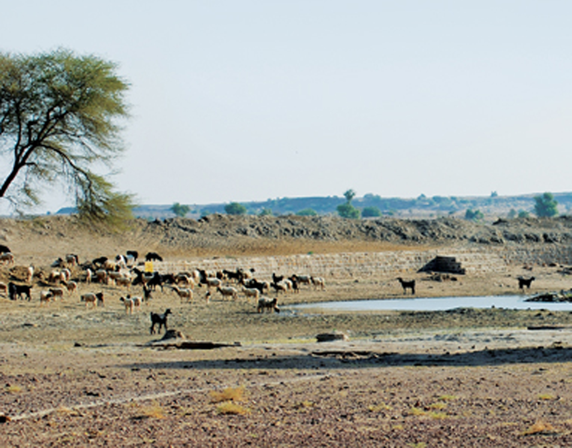 Nitrate Pollution in Groundwater